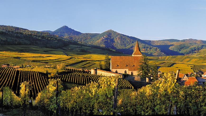 AOC and Alsace wine-making appellations - Vins d'Alsace