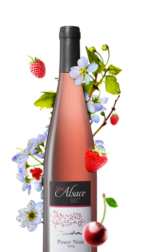 Pinot Noir Rose Et Fruite Vins D Alsace
