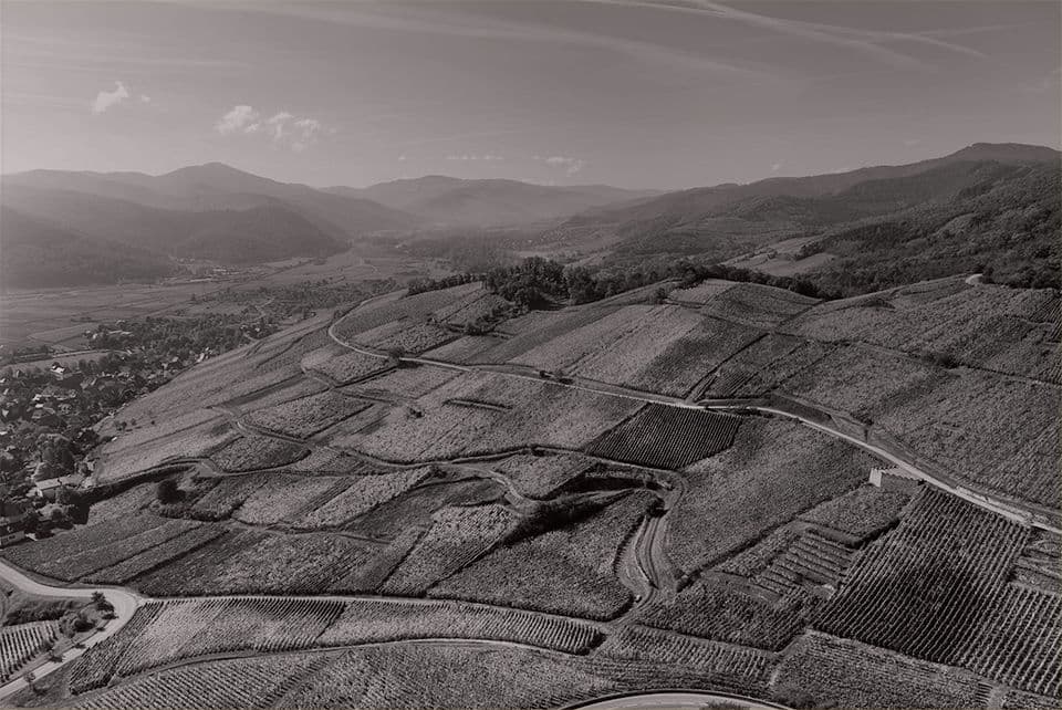 Découvrir les 51 Grands Crus d'Alsace